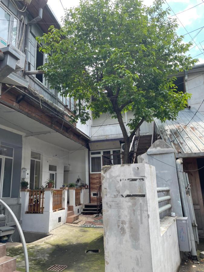 Leila Apartment تبليسي المظهر الخارجي الصورة
